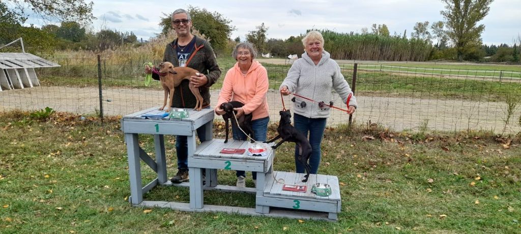 des tendres calins - ENC Monteux