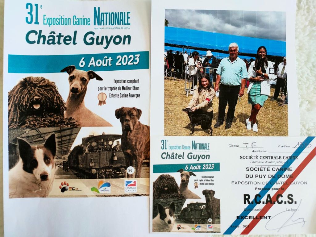 des tendres calins - TOSCANE exposition canine de Chatel-Guyon