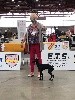  - Exposition nationalme canine de ALES 