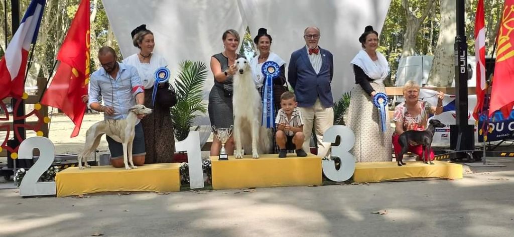 des tendres calins - Double exposition canine de Beaucaire (30)