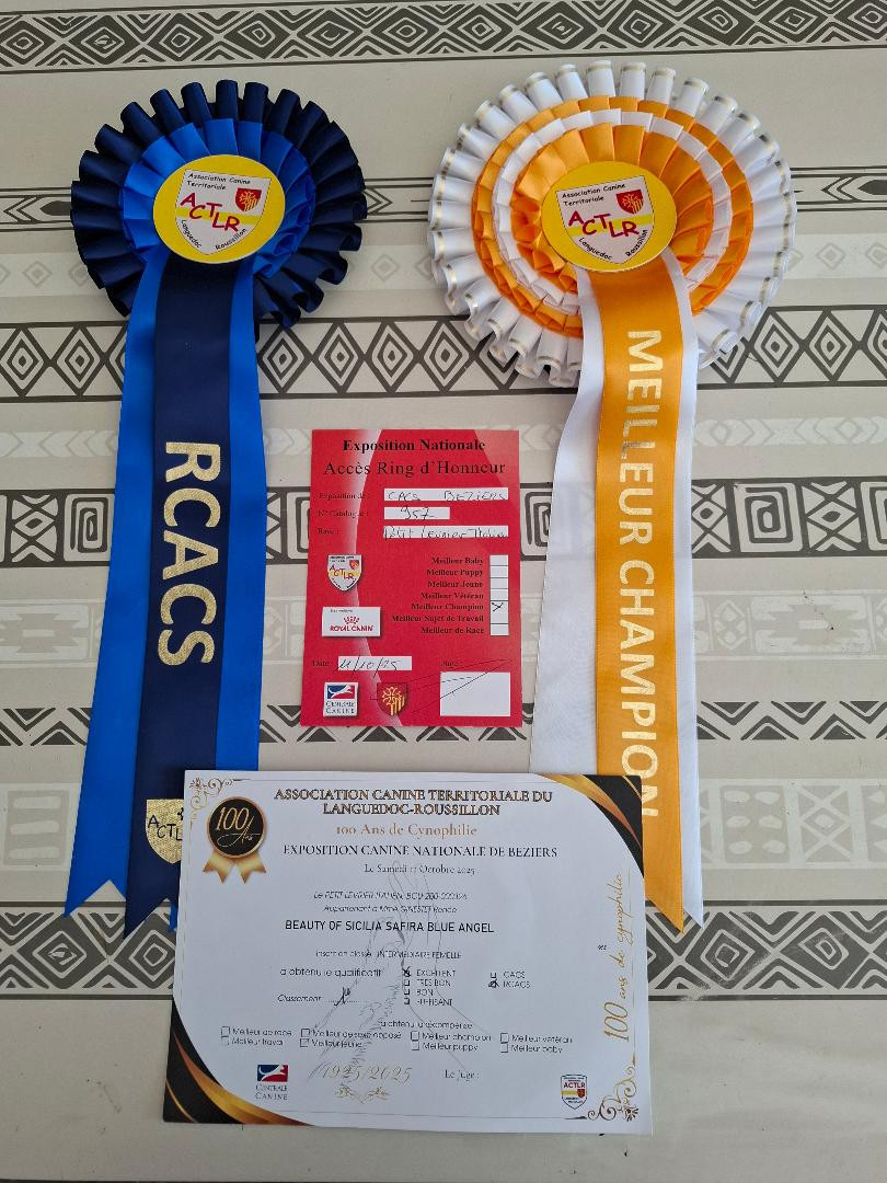 Exposition canine de Béziers