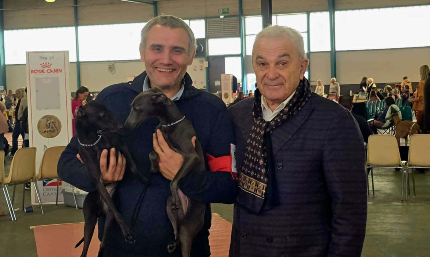 des tendres calins - Double exposition canine nationale de CAVAILLON (84)