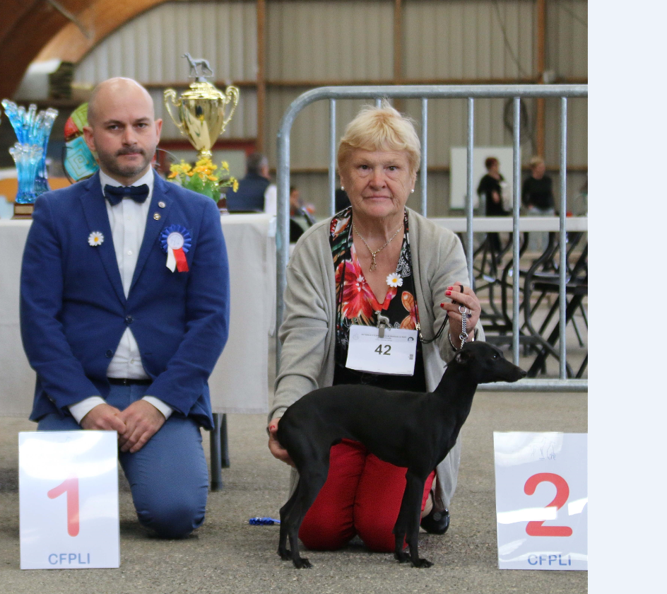 Premiers bébés prévus pour 2026