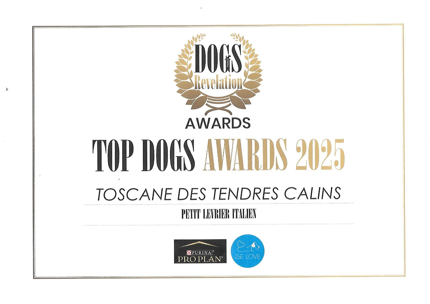 TOSCANE des Tendres Câlins TOP DOG AWARDS 2025 DOG REVELATION