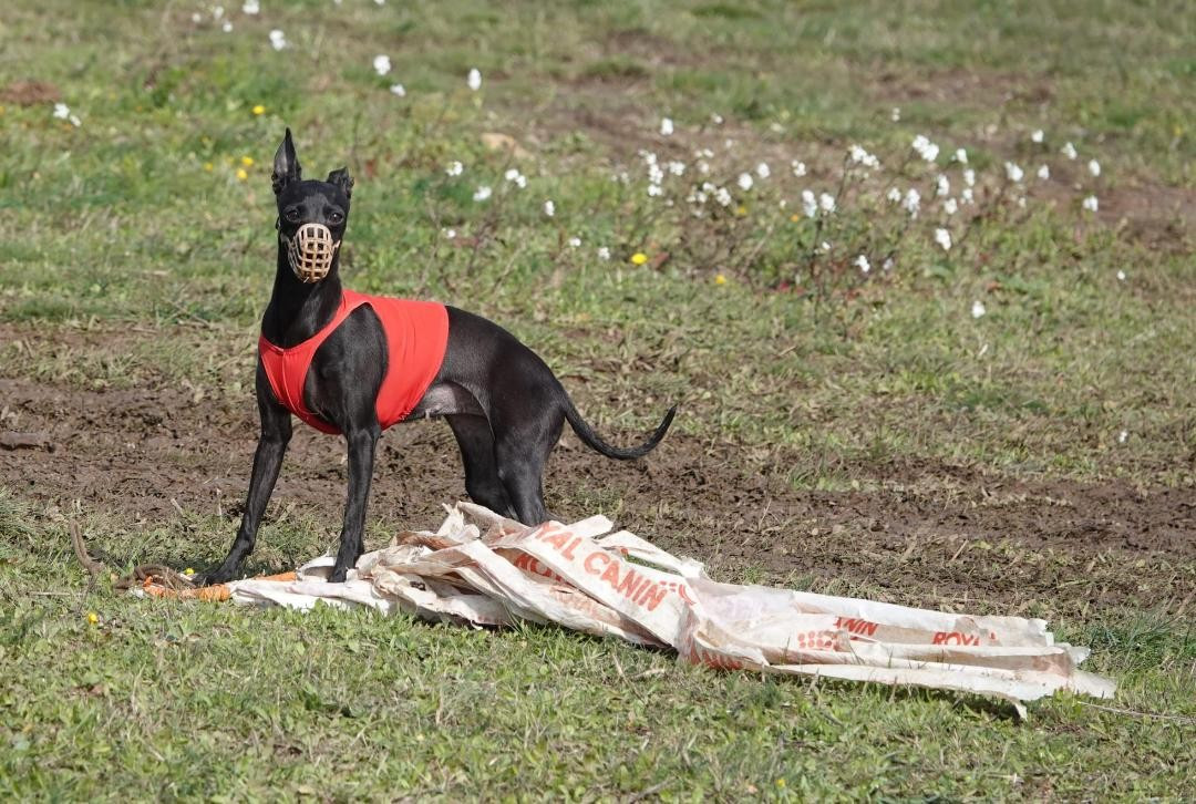 PRETTY WOMAN à la PVL de Narbonne