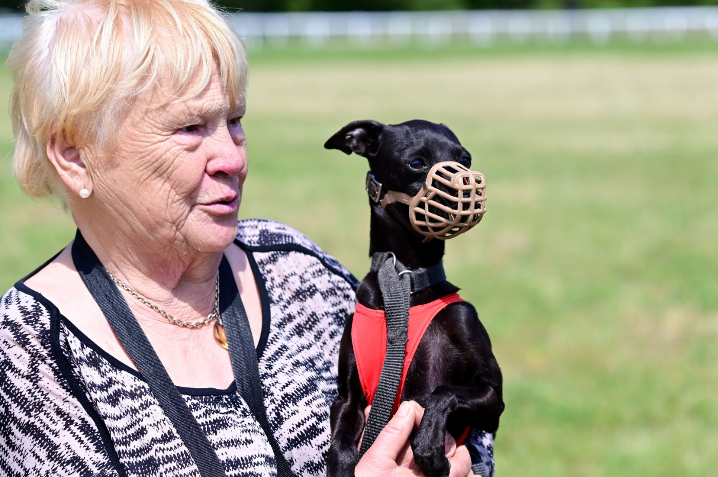 Photo de l'indépendant prise lors de la PVL de Carcassonne.
