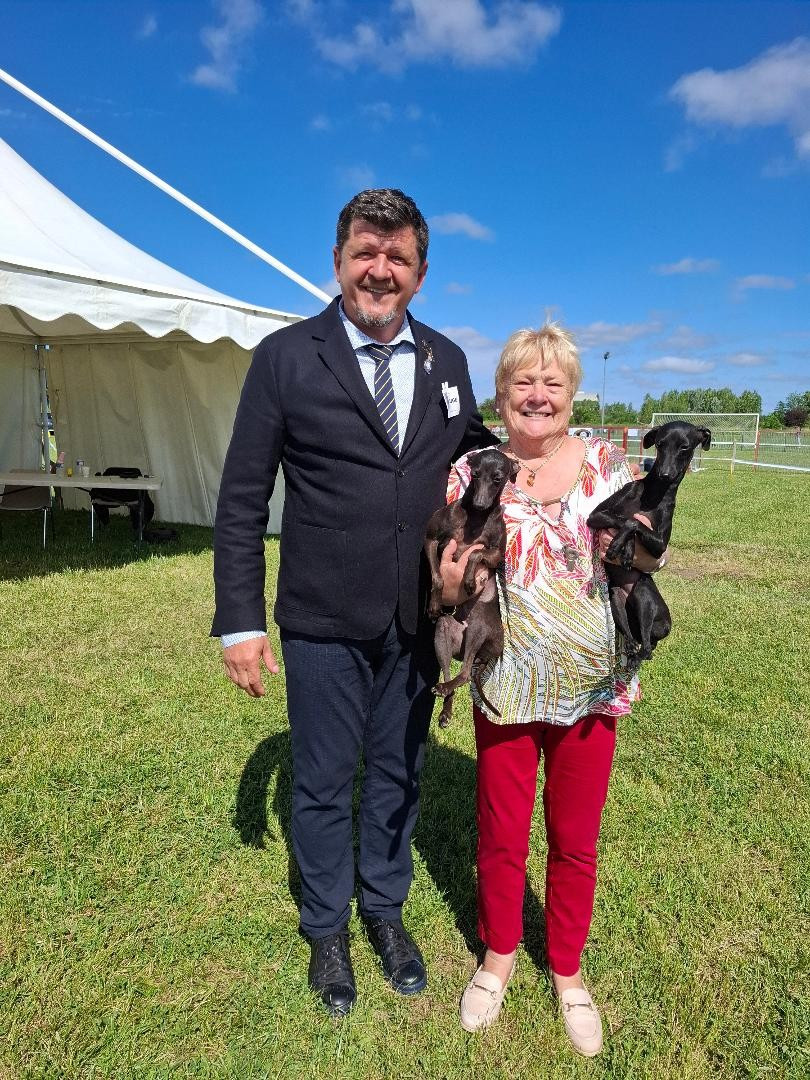 Exposition canine de BALMA (31)