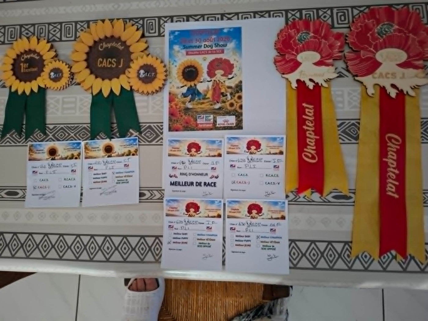 Exposition canine de CHAPTELAT (87)