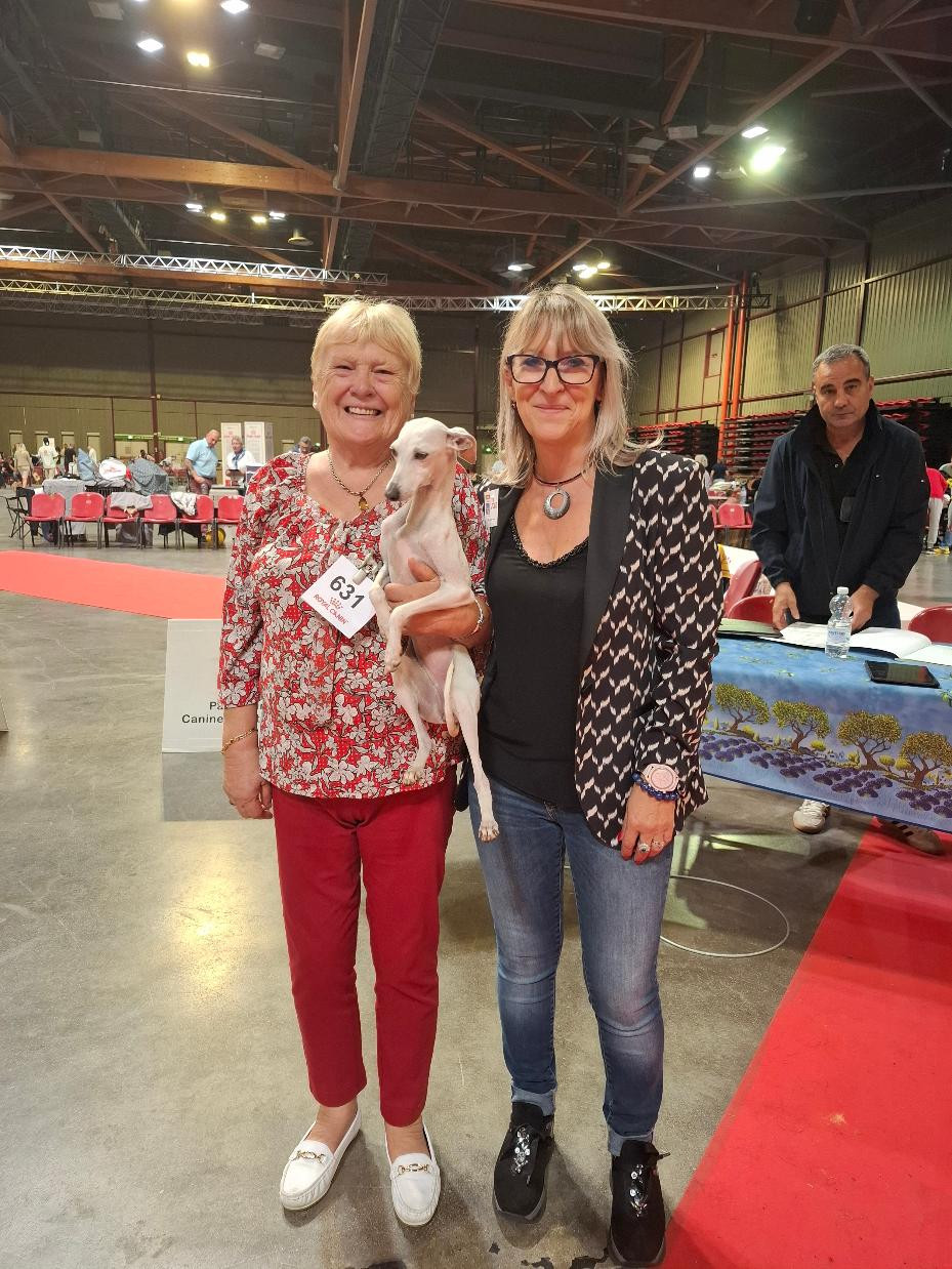 Double exposition canine de MARTIGUES