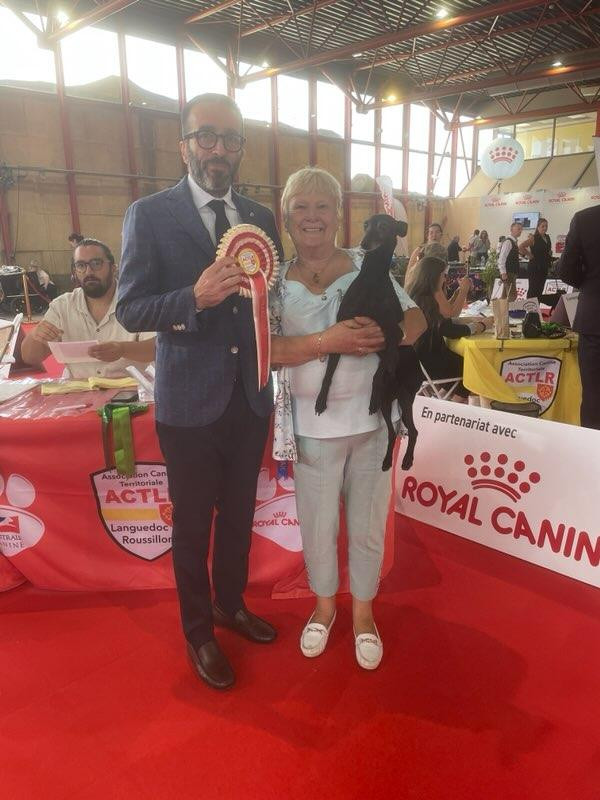 Exposition canine internationale de Narbonne