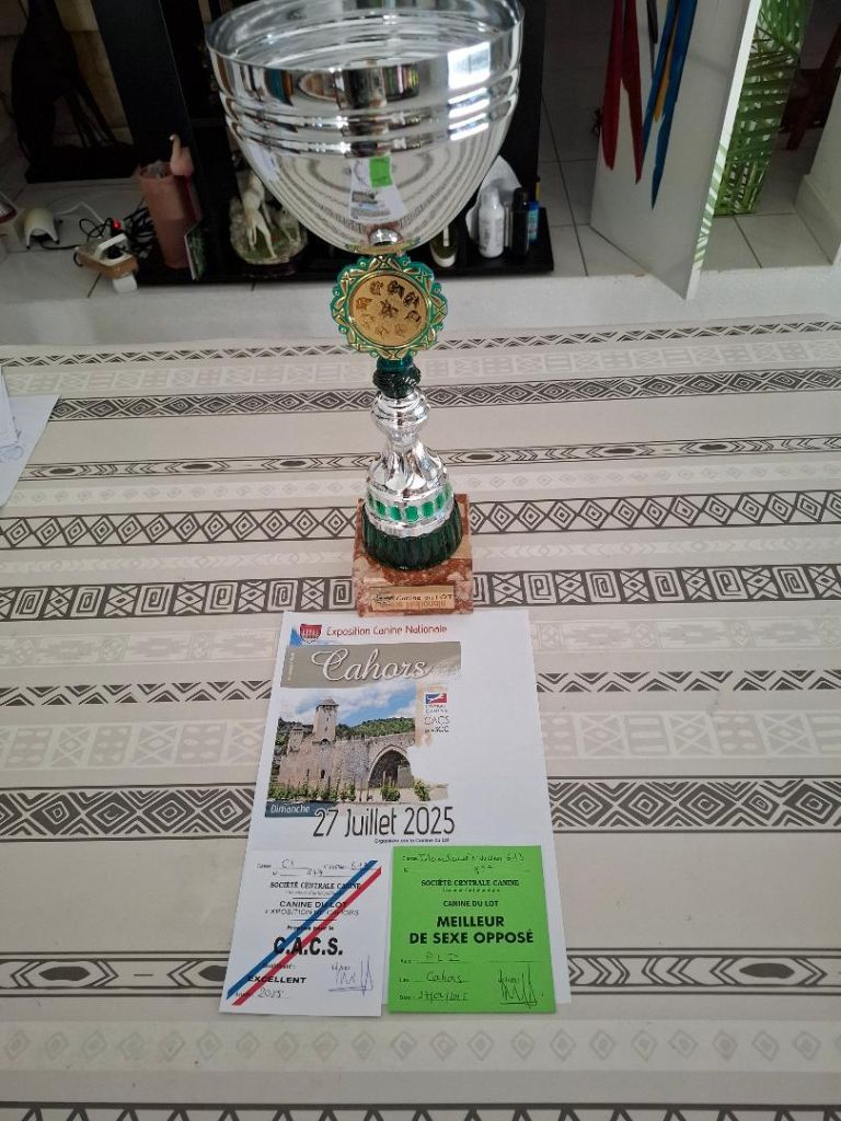 des tendres calins - Exposition canine de Cahors (46)