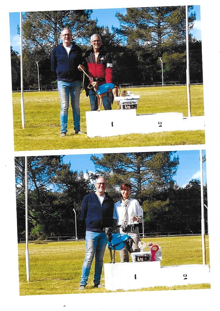 des tendres calins - Championnat de France de Travail à Mont de Marsan