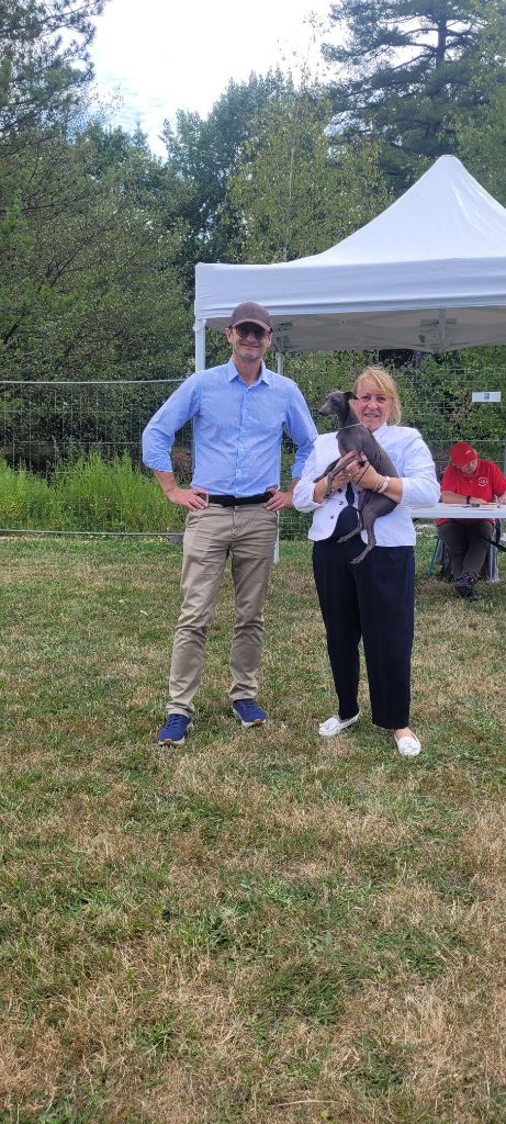 des tendres calins - Exposition canine de Aurillac (15)