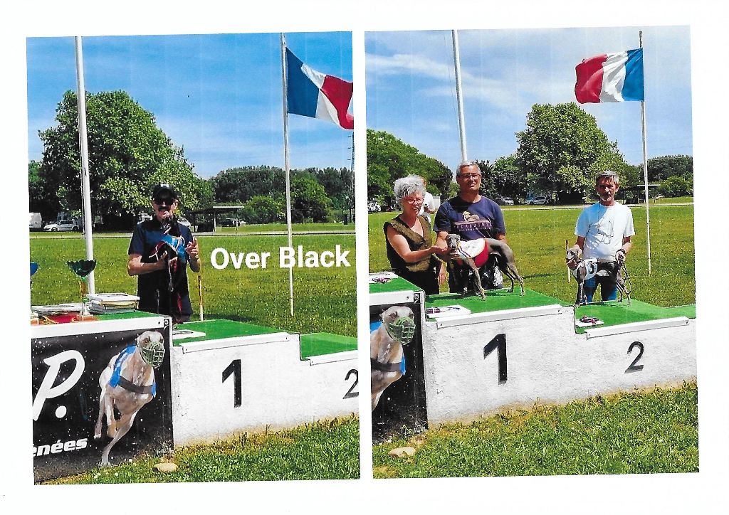 des tendres calins - Championnat de France de travail 2022