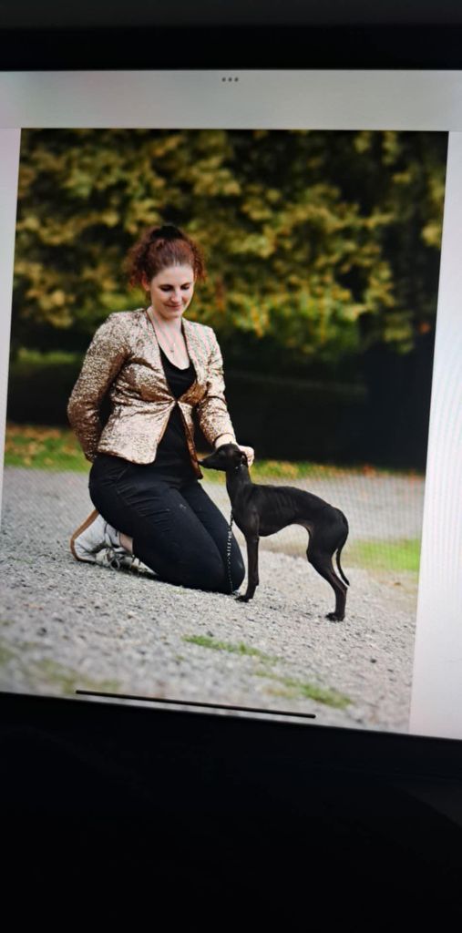 Exposition canine nationale de DENGUIN  (64) dimanche